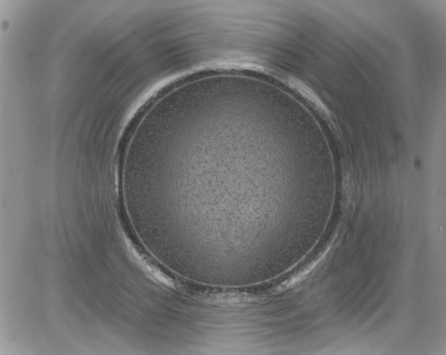 X0000084050934200703022211