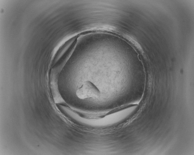 X0000084050936200703022211