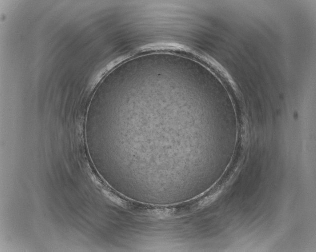 X0000084050937200703022211