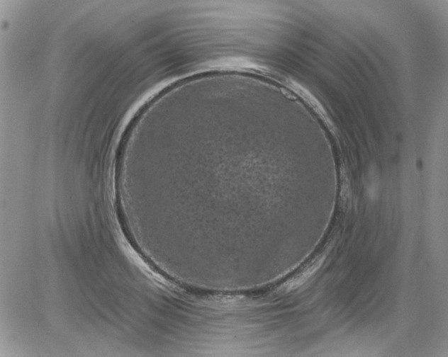 X0000084050939200703022211