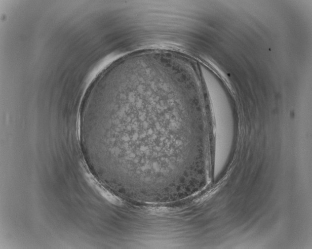 X0000084050940200703022211