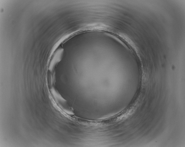 X0000084050941200703022211