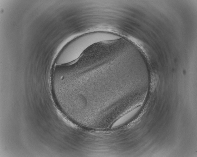 X0000084050942200703022211