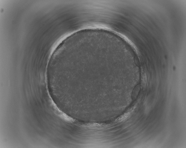 X0000084050943200703022211