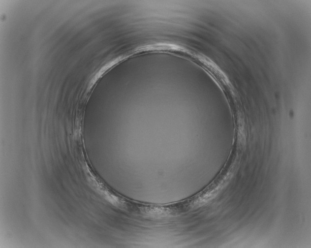 X0000084050945200703022211