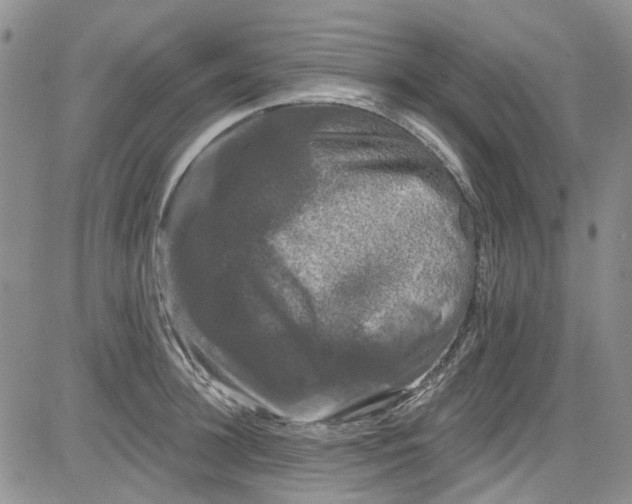 X0000084050948200703022211