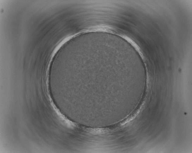 X0000084050949200703022211