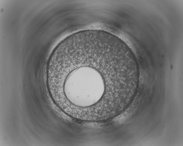 X0000084050950200703022211