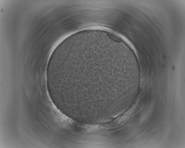 X0000084050951200703022211