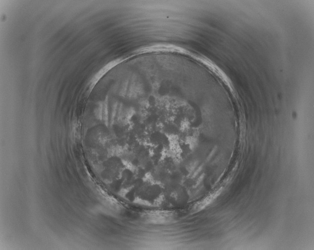 X0000084050953200703022211