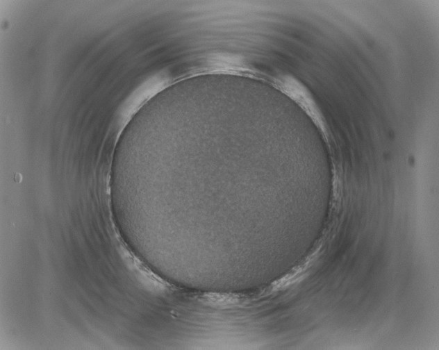 X0000084050954200703022211