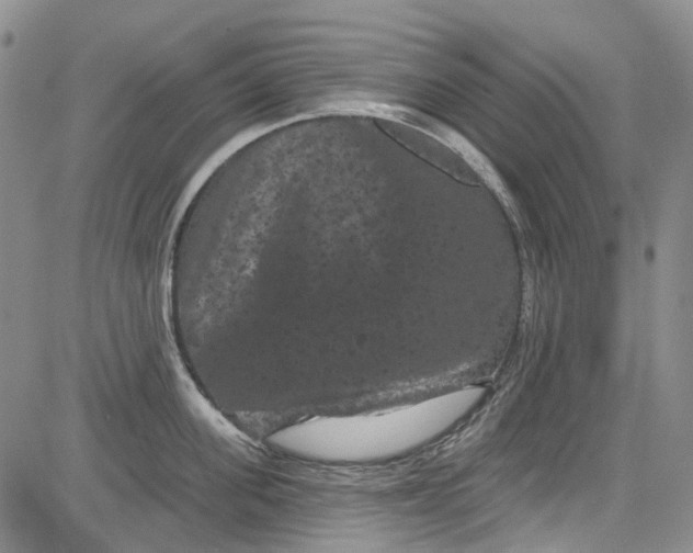 X0000084050955200703022211