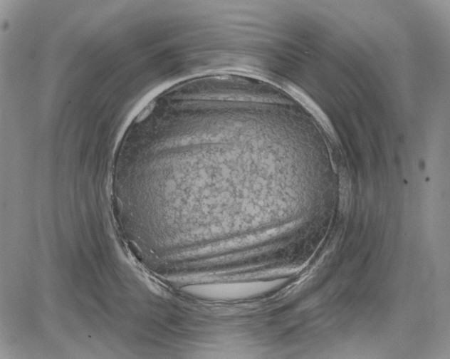 X0000084050956200703022211