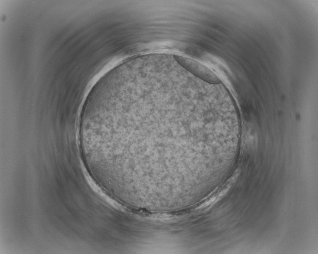 X0000084050957200703022211