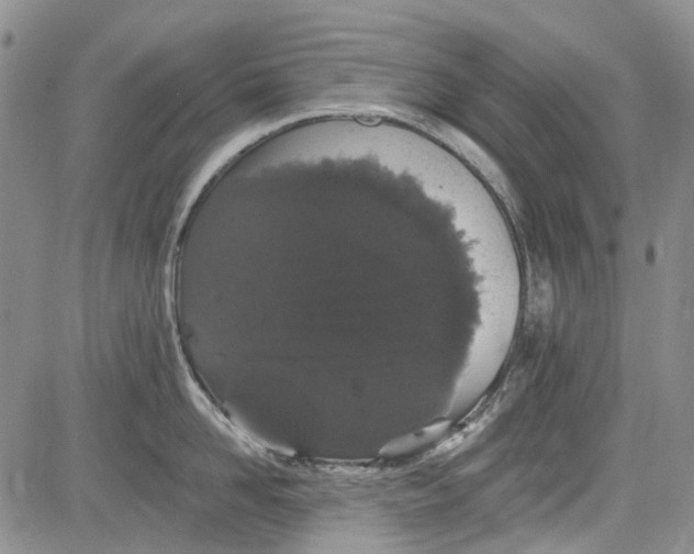 X0000084050958200703022211