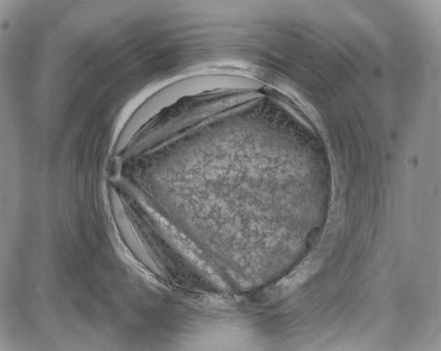 X0000084050960200703022211