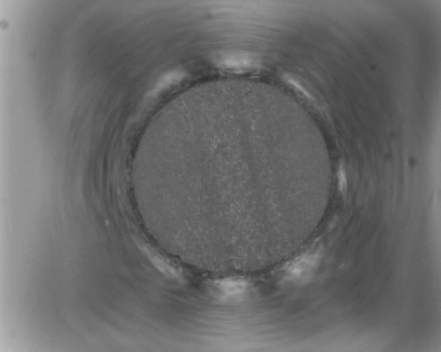 X0000084050961200703022210