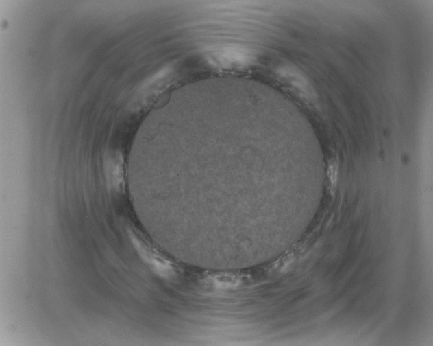 X0000084050963200703022210