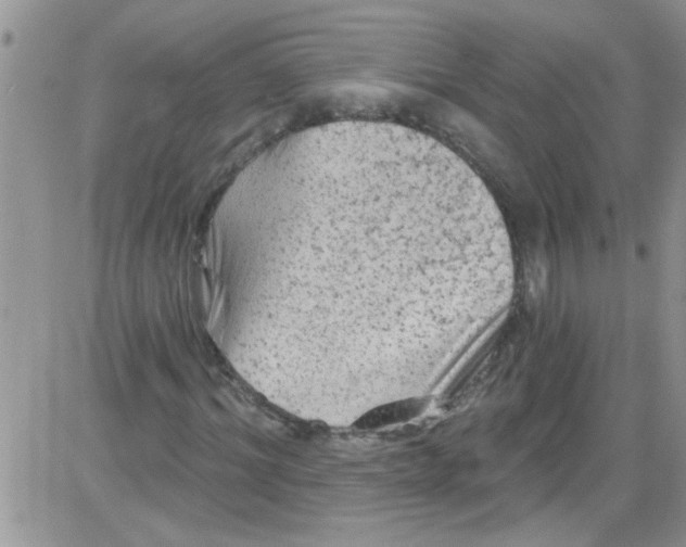 X0000084050964200703022210