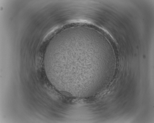 X0000084050967200703022210