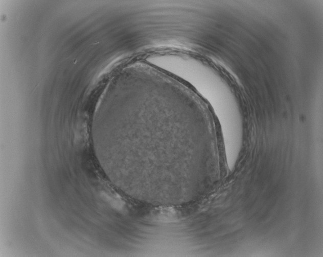 X0000084050968200703022210