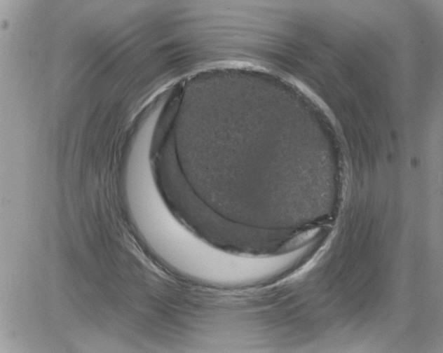 X0000084050969200703022210