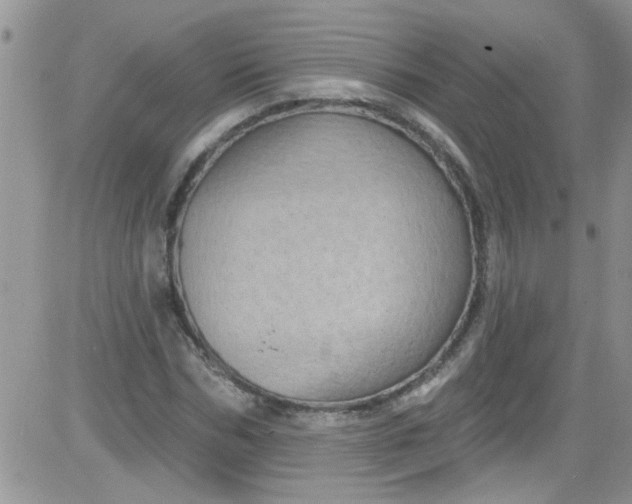 X0000084050970200703022210