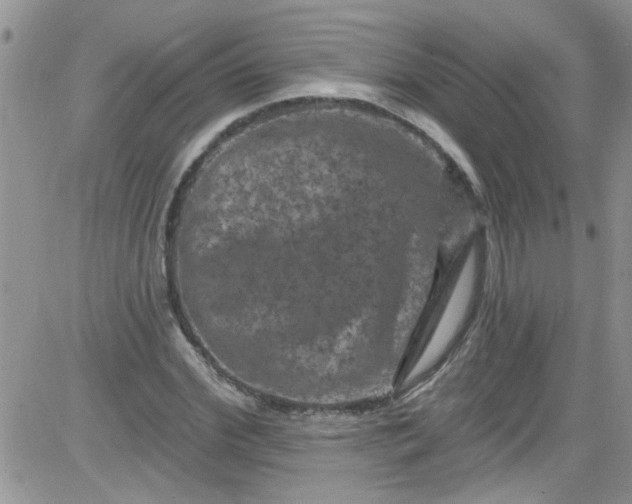 X0000084050972200703022210