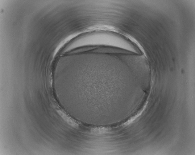 X0000084050973200703022210