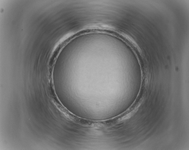 X0000084050974200703022210