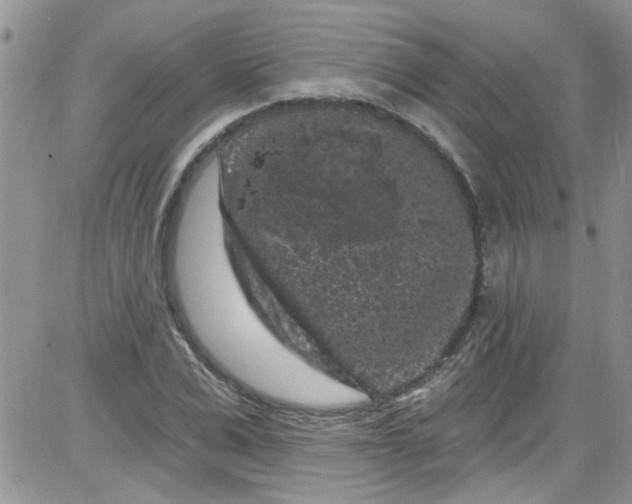 X0000084050975200703022210