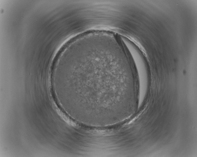 X0000084050976200703022210