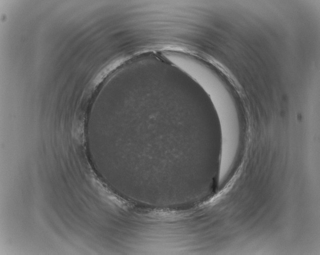 X0000084050977200703022210