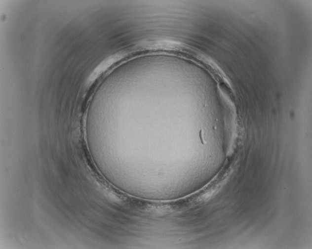 X0000084050978200703022210