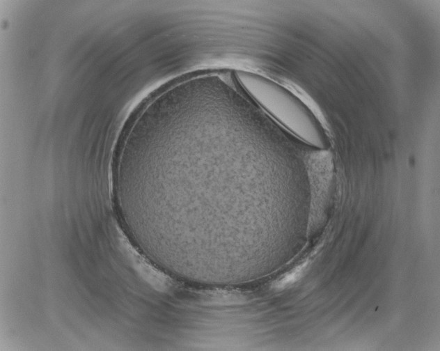 X0000084050980200703022210