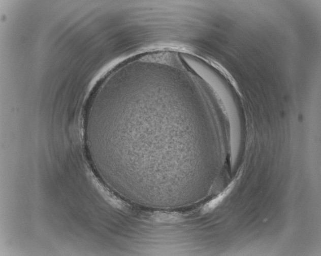 X0000084050981200703022210