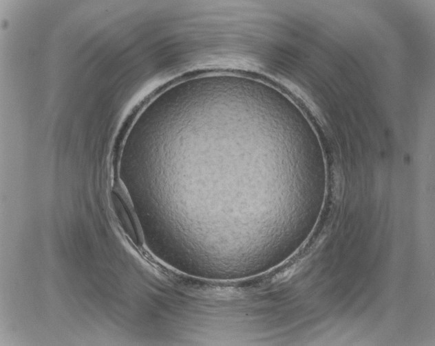 X0000084050982200703022210