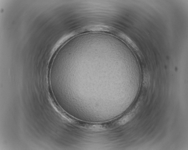 X0000084050986200703022210