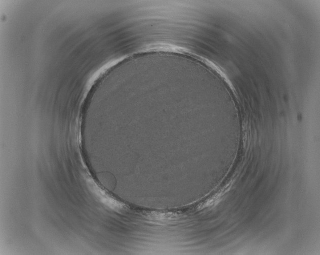 X0000084050987200703022210