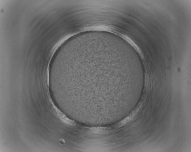 X0000084050988200703022210