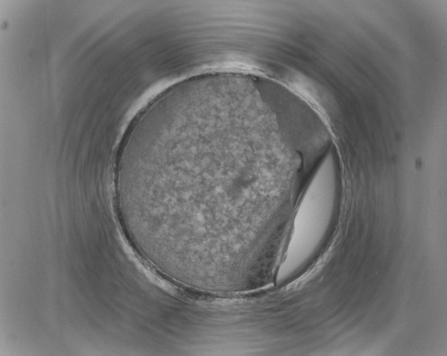 X0000084050989200703022210