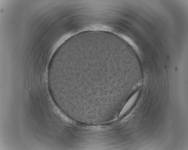 X0000084050990200703022210