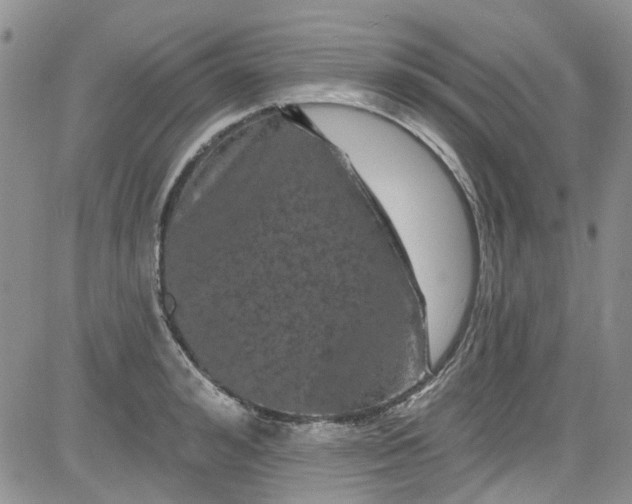 X0000084050992200703022210