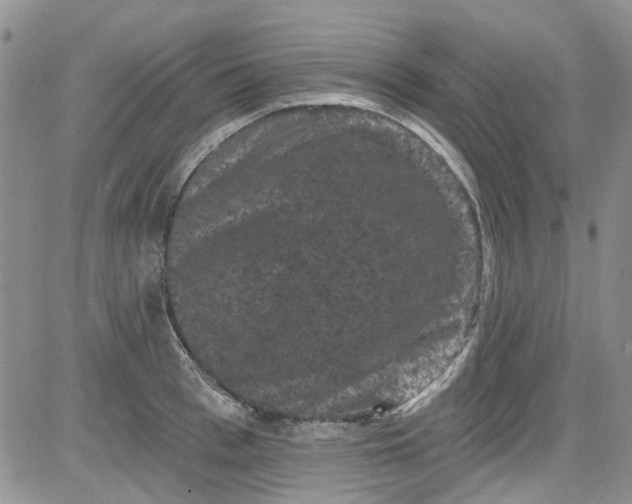 X0000084050993200703022210