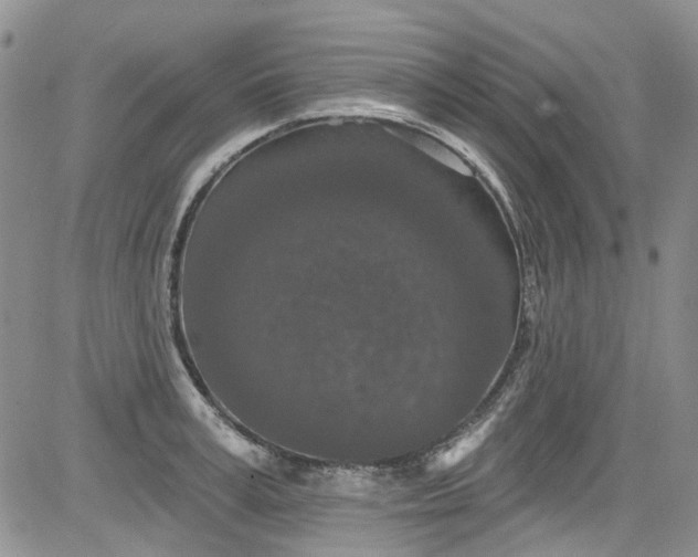 X0000084050995200703022210