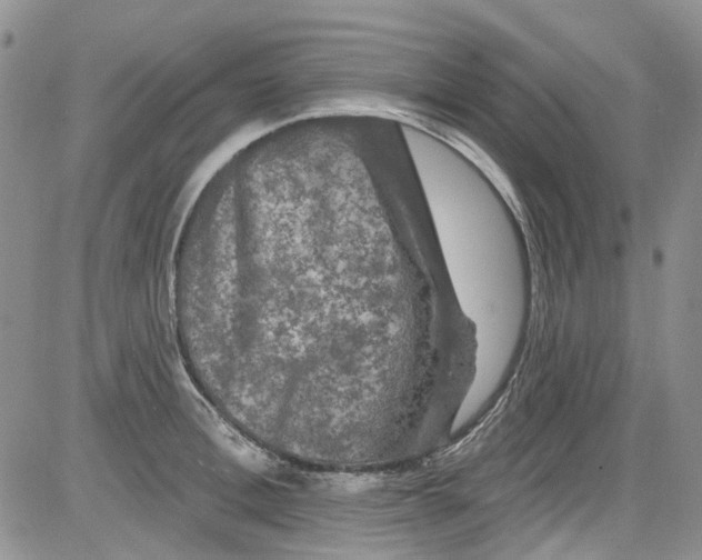 X0000084050996200703022210