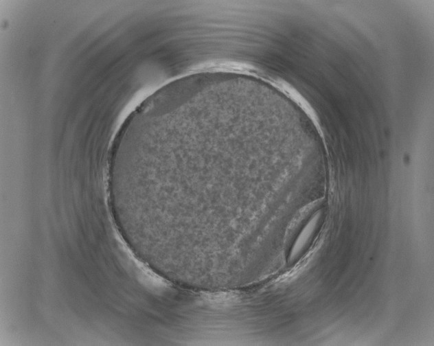 X0000084050997200703022210