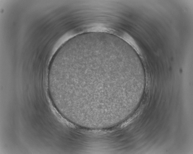 X0000084051000200703022210