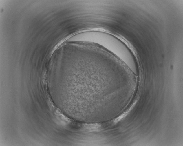 X0000084051001200703022210