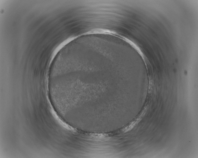 X0000084051003200703022210